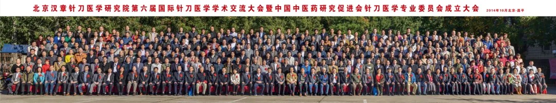 国际针刀大会 13