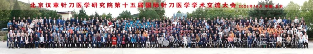 国际针刀大会 21
