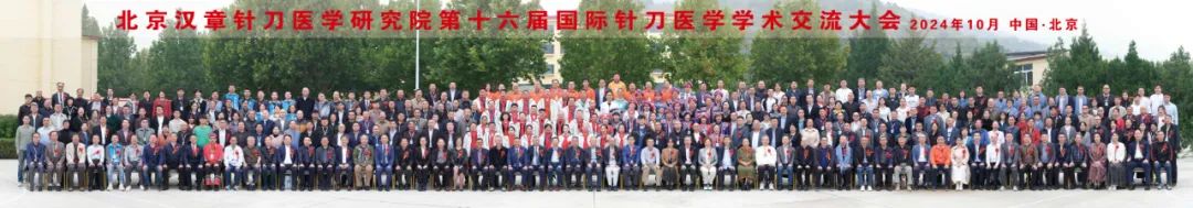 国际针刀大会 22