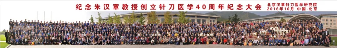 国际针刀大会 34
