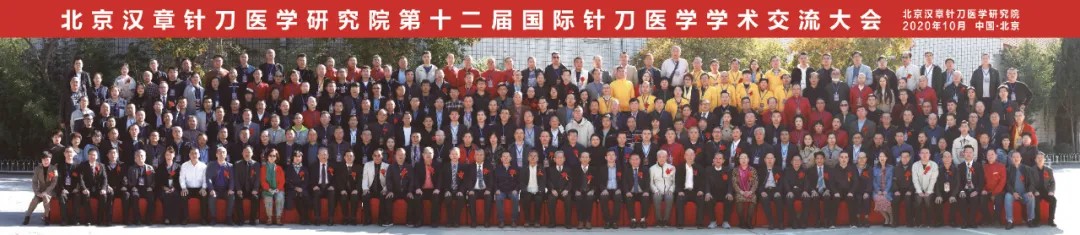 国际针刀大会 8