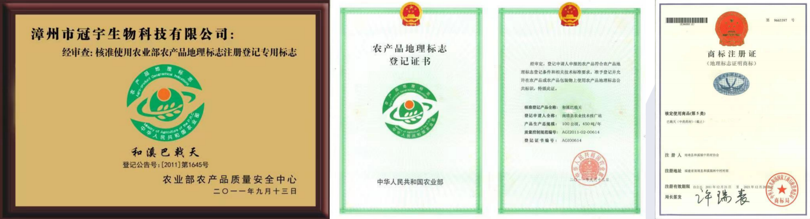 汉章荣誉 7